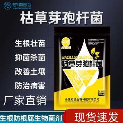 枯草芽孢菌杆菌兰花专用水产国光一强力生根壮根活化土壤兰花专用