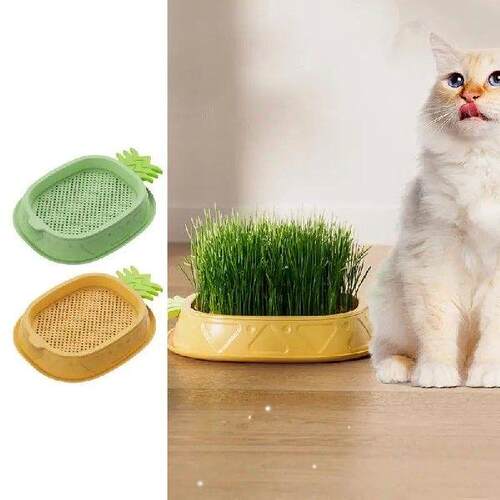 Cat Grass Tray Household Cat Grass Box Pineapple Design