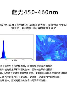 源头工厂植物生VGJ长灯0.5W高珠亮片蓝光235灯珠4508nm高PPF贴灯