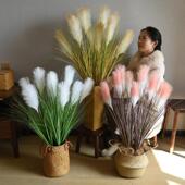芈阳 干燥花落地摆件北欧家居 彷真植物芦苇花束绿植盆景假花草干