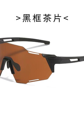 自行车太阳镜防风骑行太阳眼镜