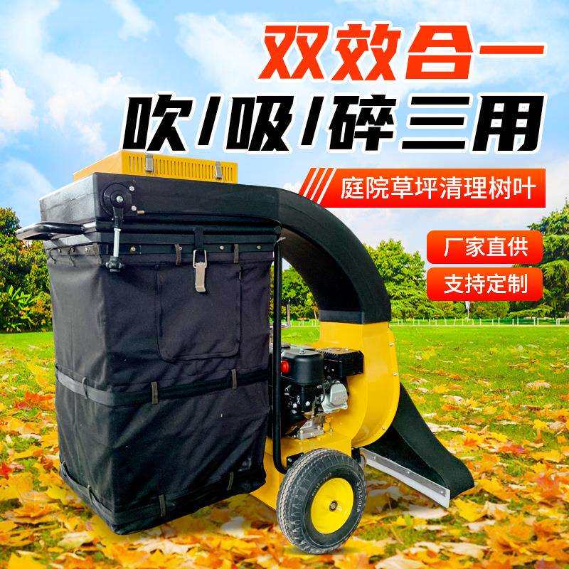 自动行走树叶落叶清扫机手推式汽油吸叶机道路边落叶市政清理机