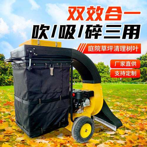 自动行走树叶落叶清扫机 手推式汽油吸叶机 道路边落叶市政清理机