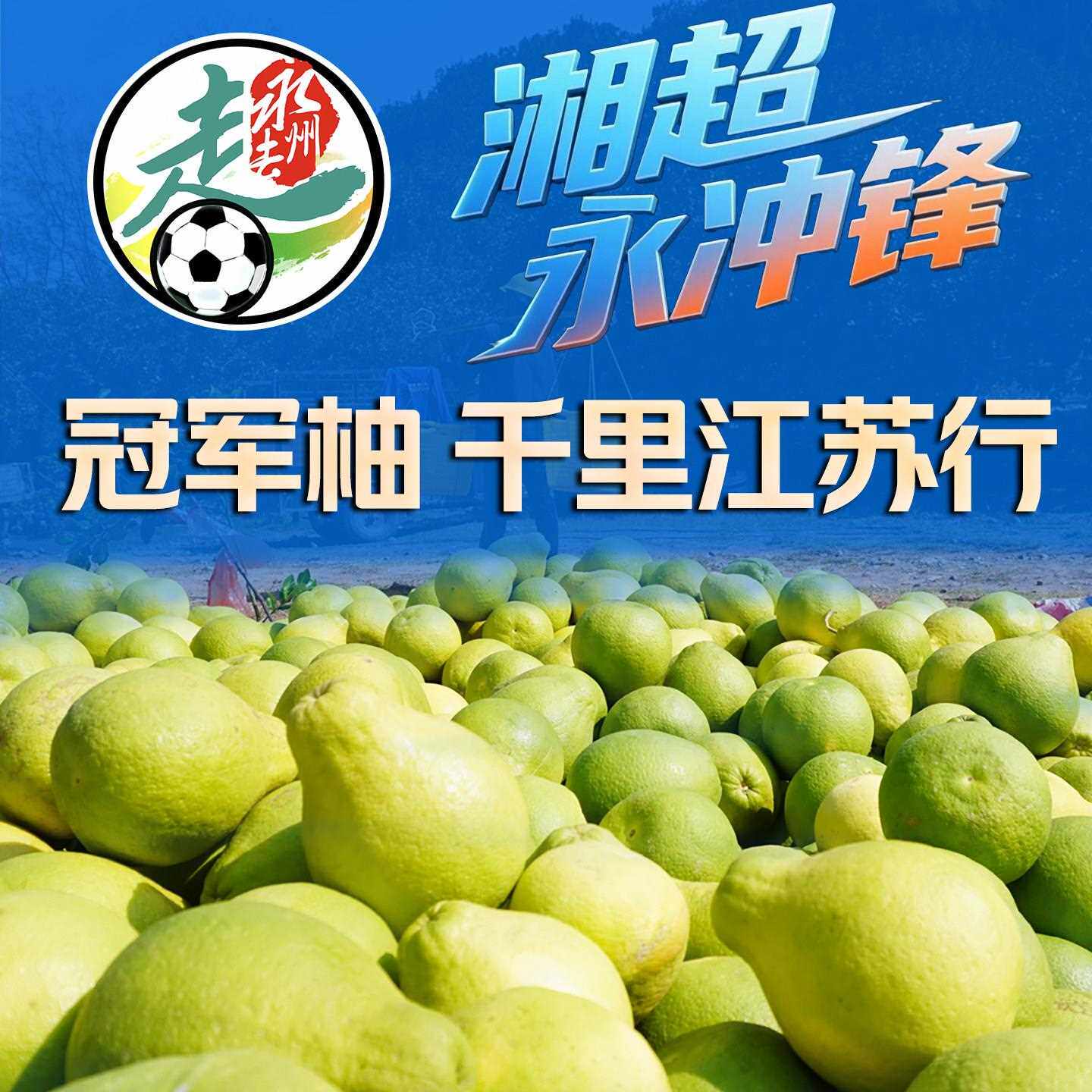 【湘超永州队推荐】湖南永州江永老树沙田柚香柚纯甜冰糖白心柚子