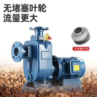 BZ系列自吸式 离心泵管道增压大流量清污水排污泵高扬程抽水泵