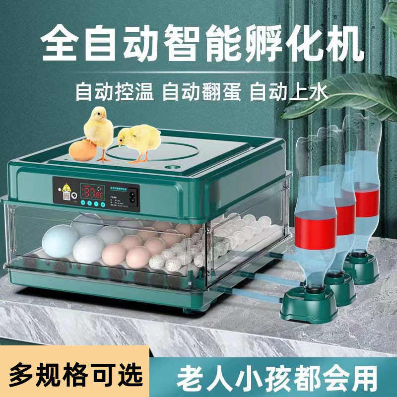 孵化器小型家用小鸡孵蛋机全自动智能芦丁鸡鸭鹅鸡苗孵化箱育稚