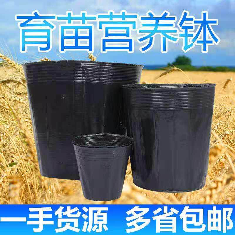 营养钵育苗盆 塑料 营养杯育苗杯加厚塑料小号营养袋育苗袋育苗杯