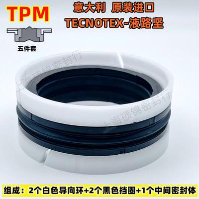 TPM-255196/275196 五件组合密封 65*50/70*50 意大利 TECNOTEX
