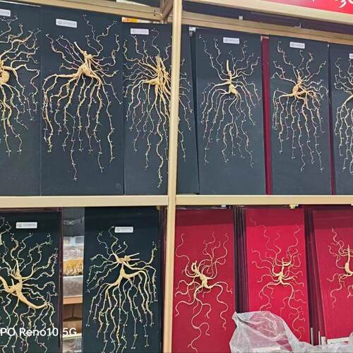 东北特产45公分皮盒人参山参泡酒林下山参皮盒礼盒节假日送礼