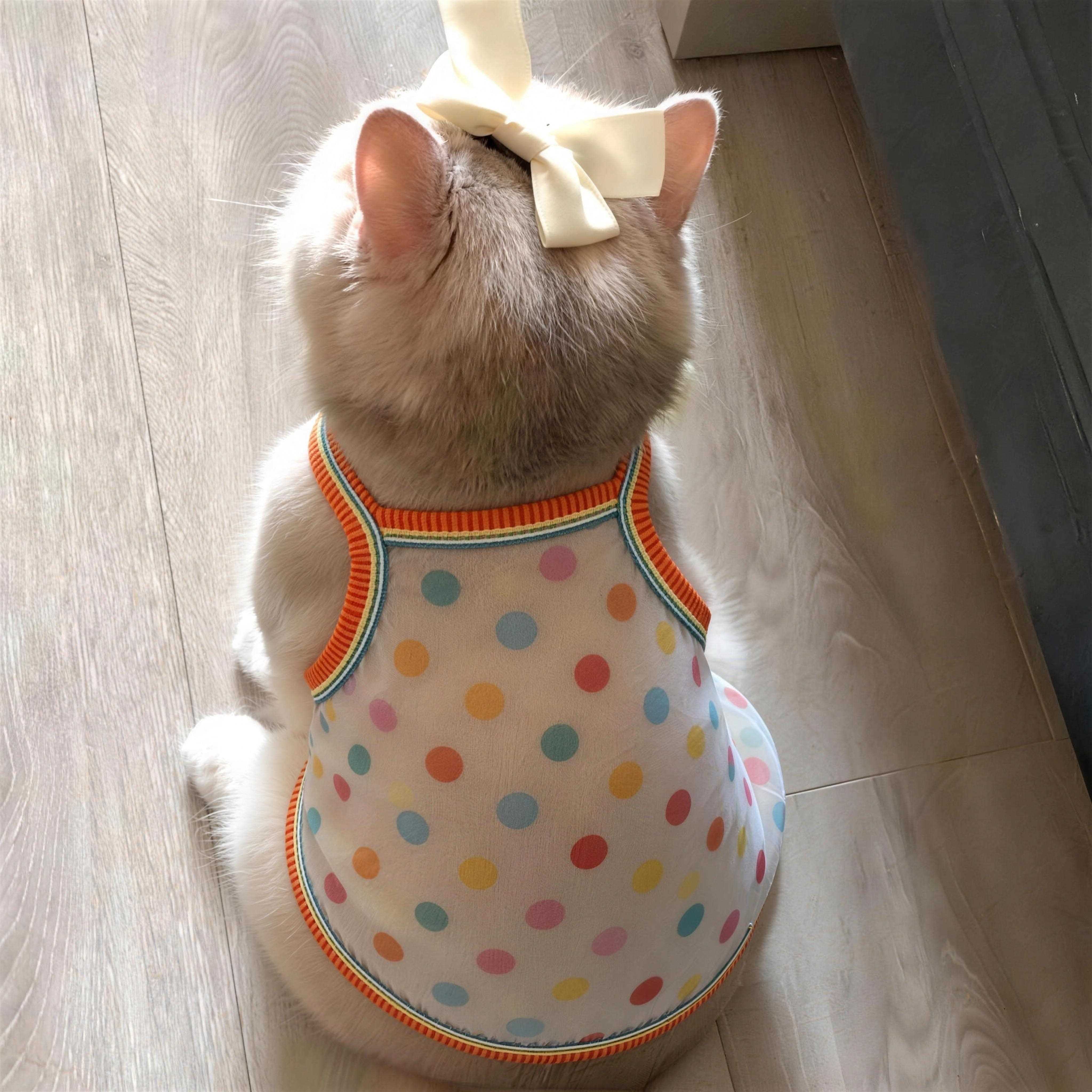 猫衣服防掉毛德文猫夏季薄款吊带布偶猫宠物狗狗衣服2026新款透气