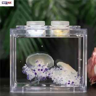 懒人养的宠物水母活物缸饲养家养好养儿童学生桌面小动物适合宿舍