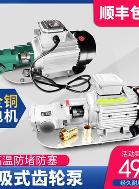 电动抽油泵齿轮泵自吸式油柴油液压油食用油220V380V高粘度