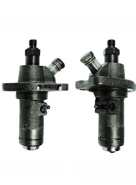 常柴单缸柴油机油泵总成 常发原厂S195 S1105 ZS1115高压柱塞配件