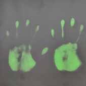 温变皮革 夜光变色 温变PU 感光变色 光变皮革 感温变色皮革 厂家