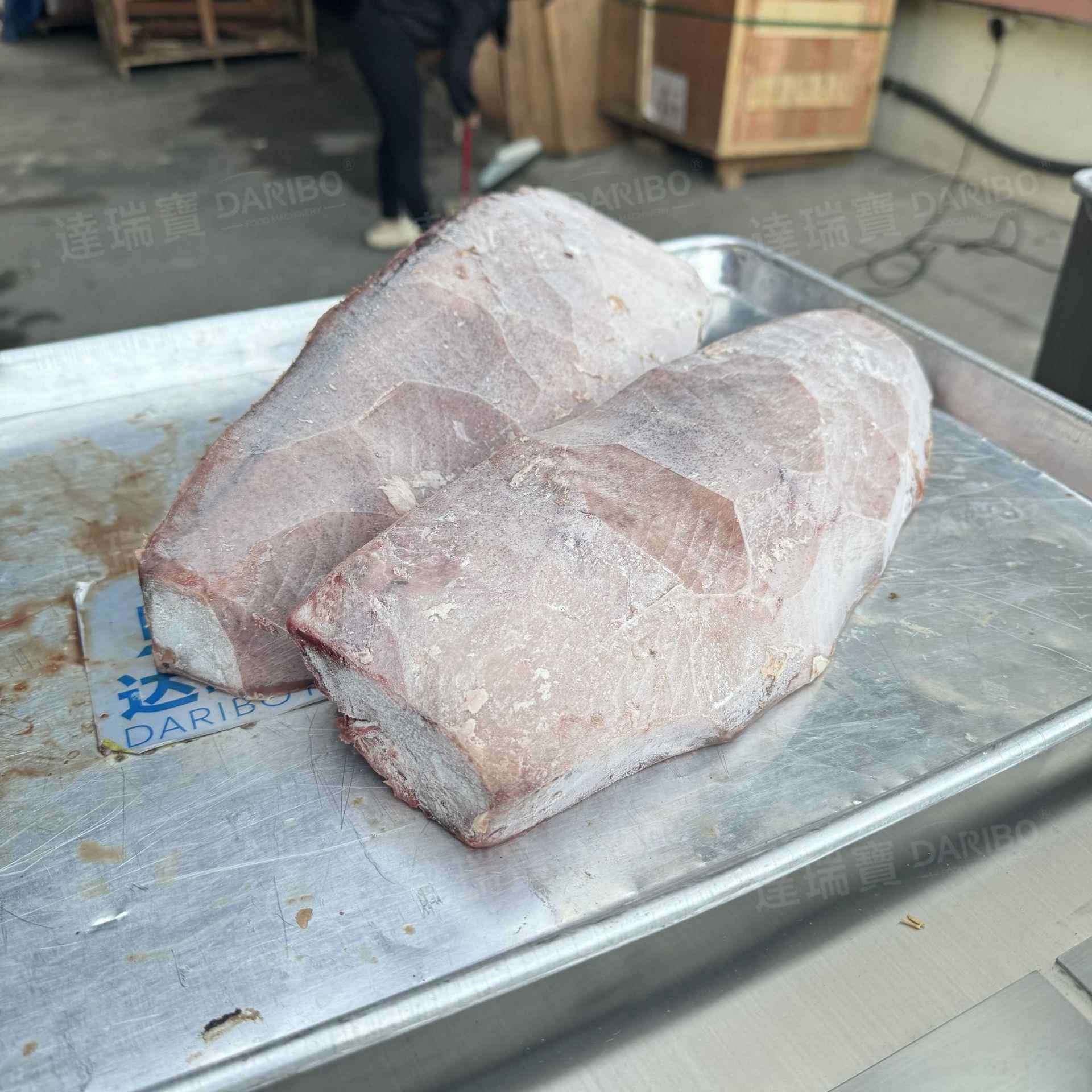 W印度尼西亚冷冻金枪鱼去骨去皮机 冷冻鱼肉打磨机旗鱼磨骨修整机
