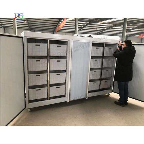 芽苗菜豆类生产机 农贸市场自动催芽机 商用黄豆恒温加湿豆芽机