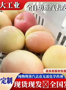 黄桃头蒸汽去皮机去皮均匀损耗小 果蔬头生产线脱皮主机设备