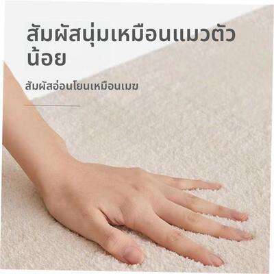 Carpets Plush carpet bedroom rug bedside blanket floor mat