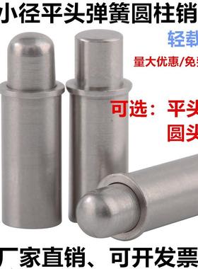 小径平头弹簧柱塞MPFS/MPJS圆柱销圆头弹簧定位销球头弹性柱塞