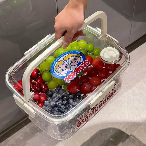水果保鲜盒便携外出食品级塑料密封收纳盒分格大容量储物盒长方形