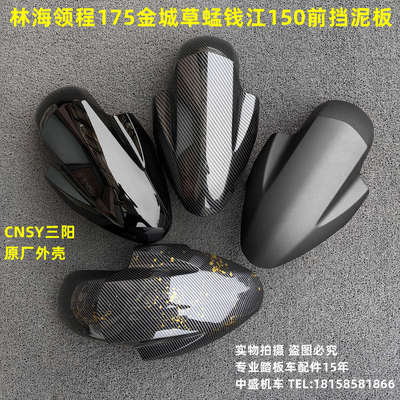 适用林海领程175LMAX150-B金城草蜢200钱江150FORCE155前挡泥板盖