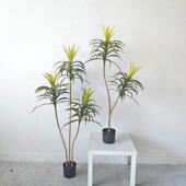 盆仿真叶狭龙舌兰丝CQ00N10兰 新款 仿真植物饰假绿植栽摆装 件软装