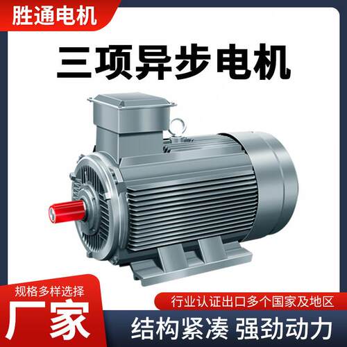 11千瓦15w22w30w4极6极变频电机国标电机三相异步电动机