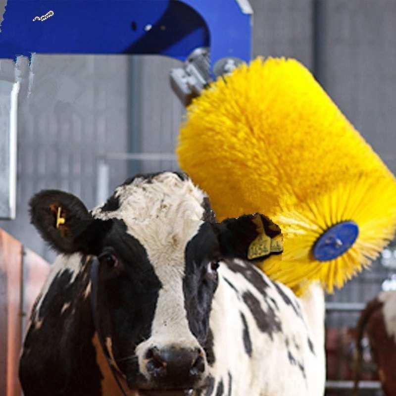 厂家定 制牛体刷马体奶牛清洁刷牛体按摩清洗毛刷奶牛牧场专用刷,生活电器,电动清洁刷,淘宝优惠券,粉丝福利购,淘宝优惠卷