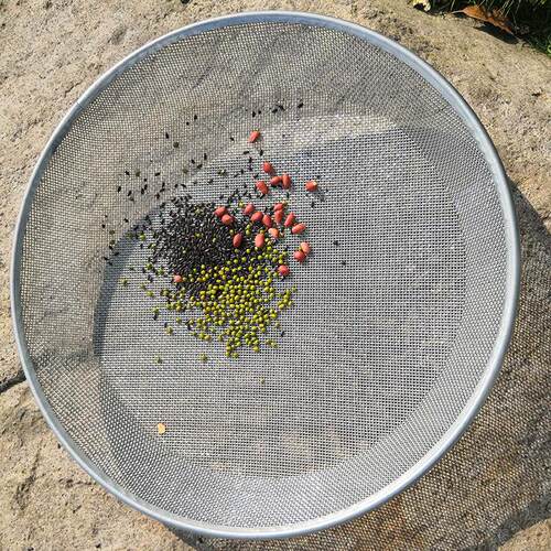 可承受100斤钢丝筛网加粗玉米谷物筛石子土园艺筛黄豆板栗 圆铁筛