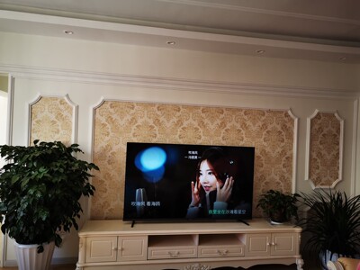 来说下海信HZ65E5D质量好还是TCL65T6M更好用些？功能上都有什么不同？