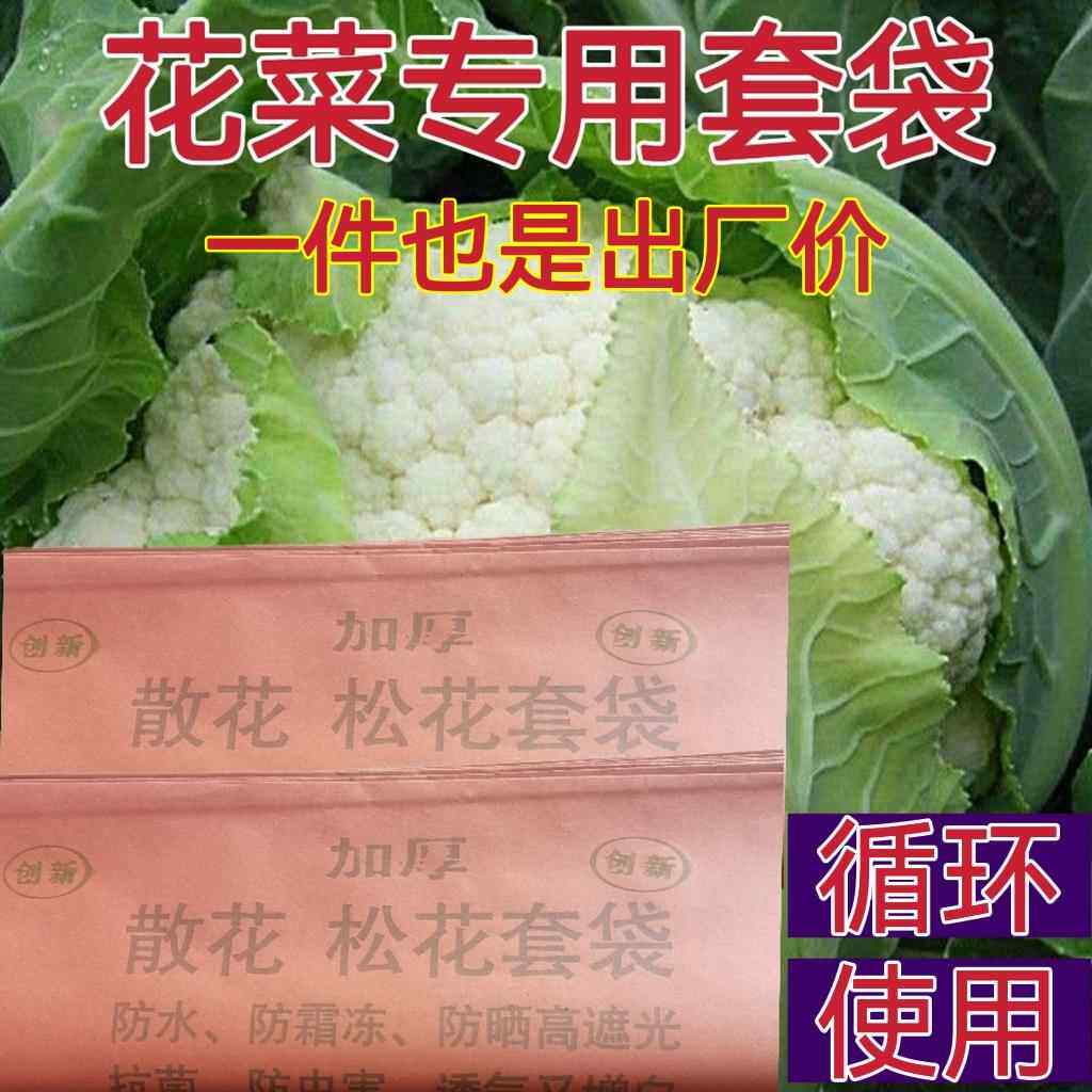 松花套袋散花防虫袋有机花菜保护套防水防晒防霜冻增白菜花散花袋