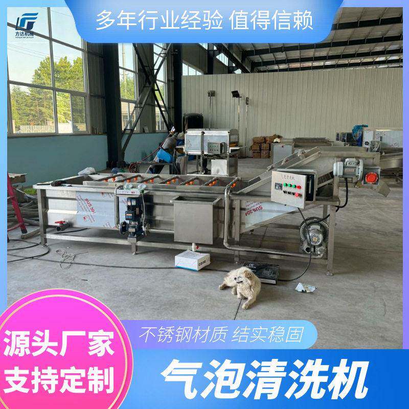 全自动气泡清洗机气泡鼓浪搭配压喷淋双重清洗小龙虾辣椒香菇