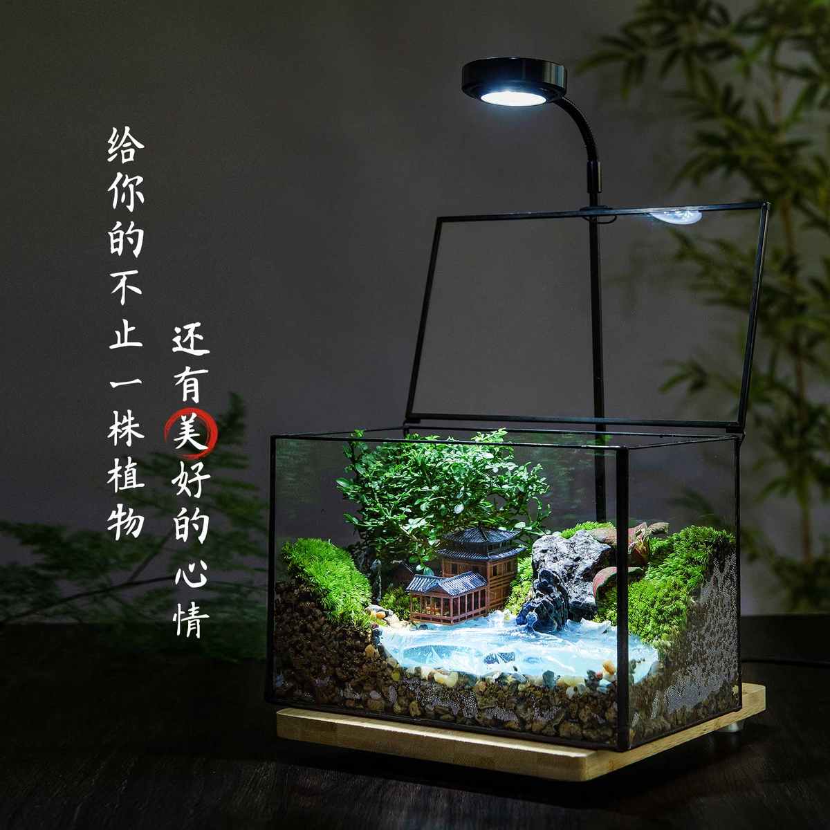 迷你雨林生态缸创意苔藓室内生态瓶桌面绿植微景观造景耐养盆栽