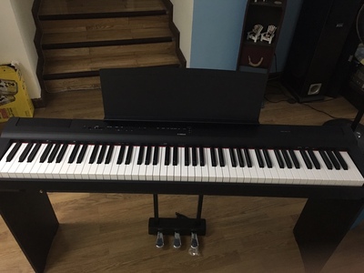 雅马哈电钢琴哪个型号好,音响怎么样评判质量差有依据吗?