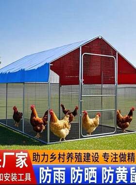 户外养殖大型养鸡棚特大号家禽鸡笼鸽笼鸡舍孔雀养鸡笼子家用防雨