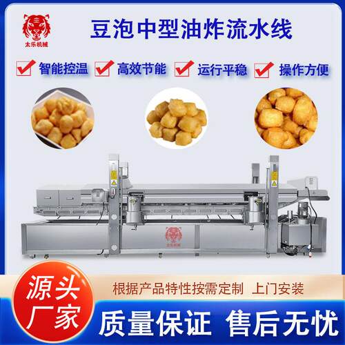 Electric Deep Fryer / Electric Fryer