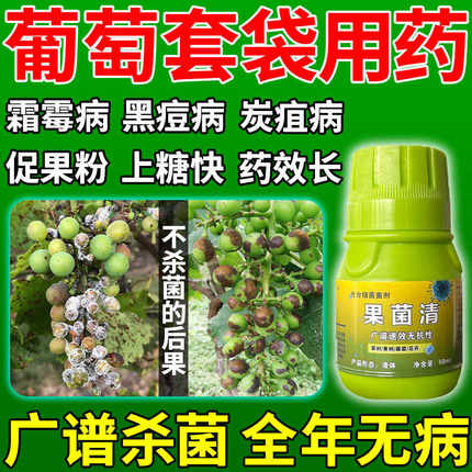葡萄套袋前专用药巨峰阳光玫瑰灰霉炭疽病农用杀菌防虫喷打什么药