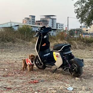 正品RBM无名1号pro液压后减震器九号M系n系E系f90小牛N系避震器