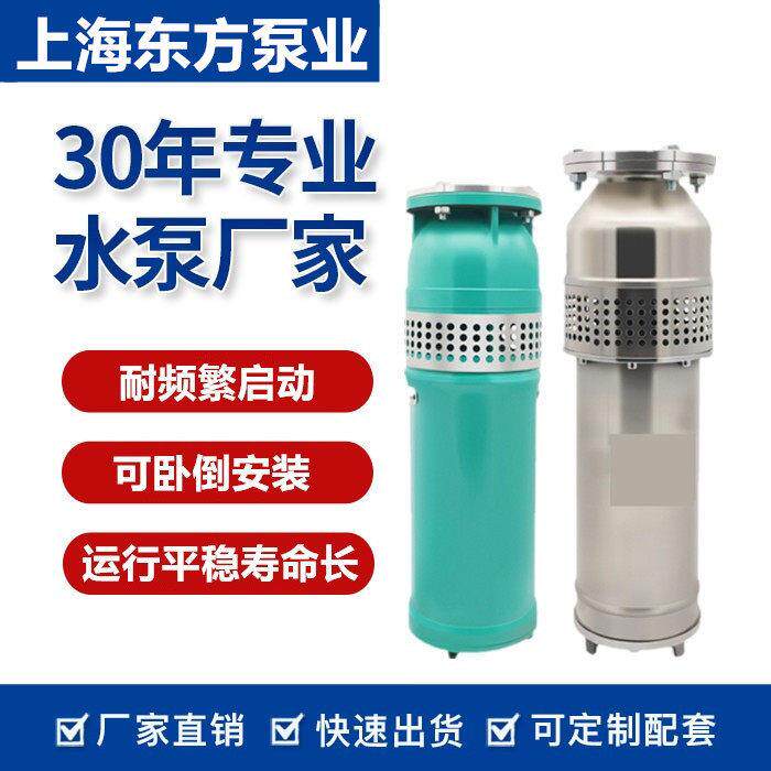 上海东方QSP铸铁不锈钢潜水QS喷泉专用泵 水景景观变频东方喷泉泵