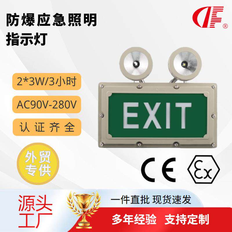 壁装2×3W防水防爆工厂车间明装EXIT双头消防应急灯