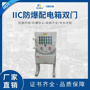 IIC防爆配电箱双门 照明动力配电柜 防爆照明动力配电箱 飞鼎