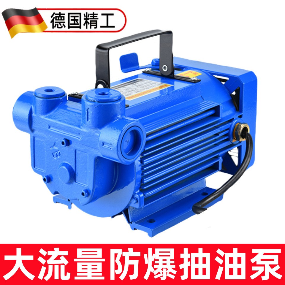 220v12v24v防爆汽油抽油泵小汽车油箱自吸抽汽油加油机垒德株