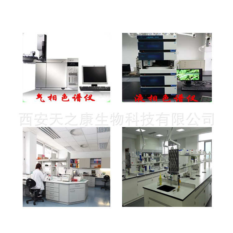 香草提取物10：1 香草原料萃取香草粉 香薷粉 香草粉 天之康生物