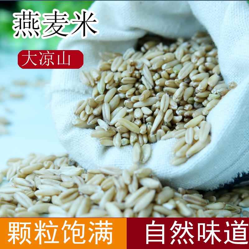 燕麦米 五谷杂粮裸燕麦米四川大凉山杂粮米莜麦未加工的燕麦米5斤
