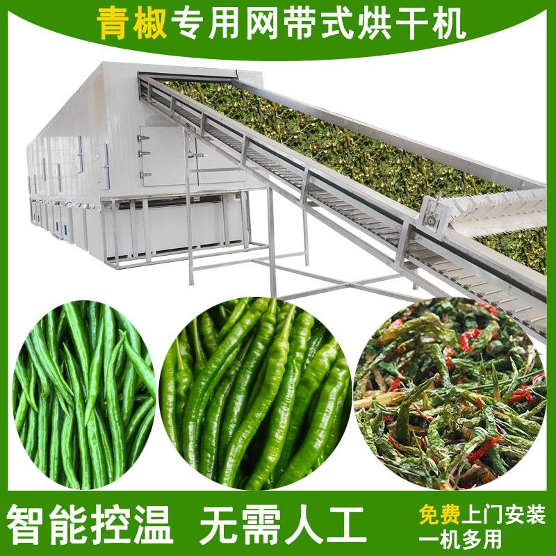 链条式青椒烘干机大型网带青辣椒青椒丝干燥机青辣椒圈烘干设备