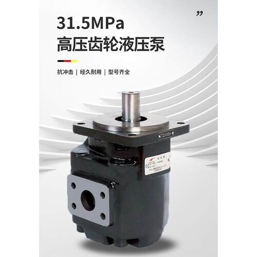 金佳液压JHP2高压齿轮泵 装载机压路机用 小体积低噪音油泵