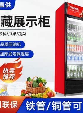 商用冰箱立式饮料柜单门保鲜柜双门啤酒柜超市冰柜冷藏展示柜立柜