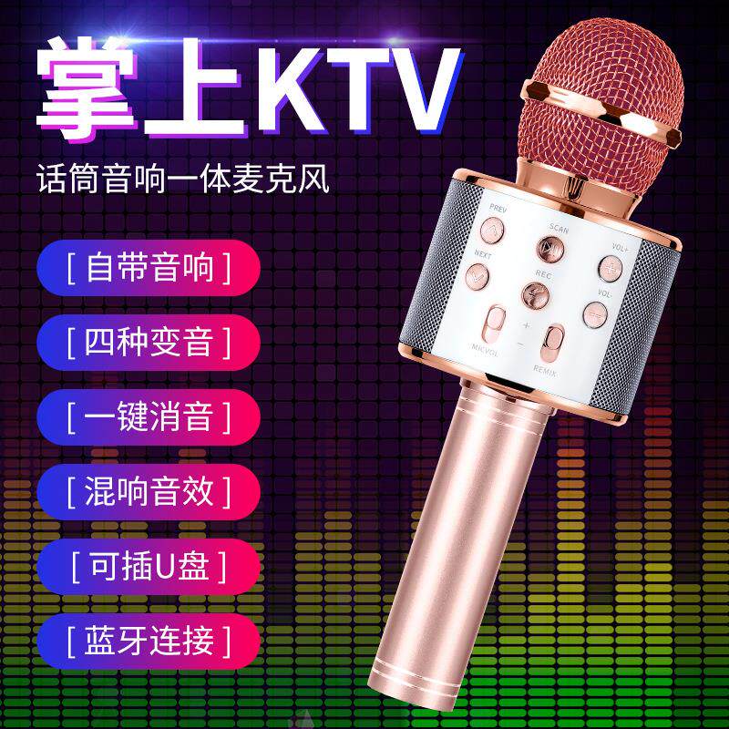 跨境WS858无线蓝牙麦克风手机k歌宝话筒音响一体儿童唱歌玩具音箱