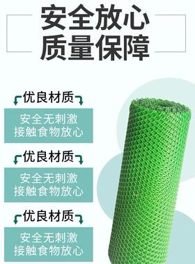 整卷绿色塑料平网养殖漏粪网床鸡鸭鹅脚垫网格片蜂网防护网育雏网