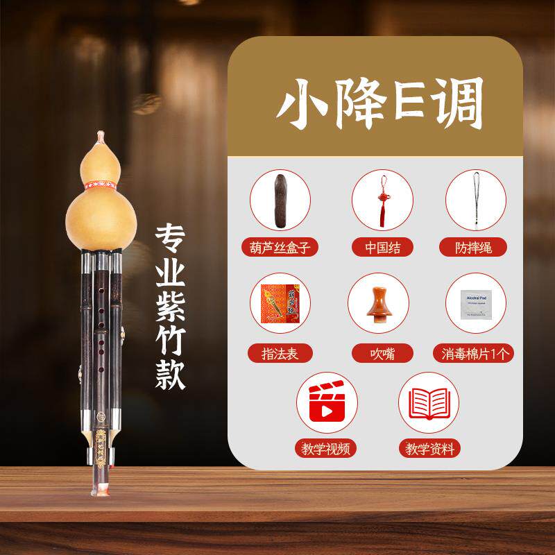 正品新艺 竹葫紫芦丝乐器C调降B调 业演奏型葫芦丝儿童成人 初专